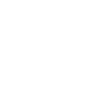 Maxi Frota
